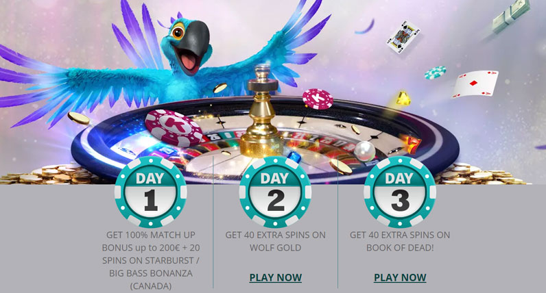 100% up to €200 + 100 Free Spins