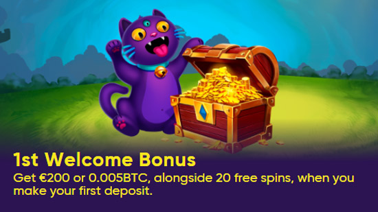 €300 or 1 BTC + 100 free spins!