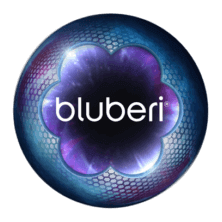 Bluberi Logo