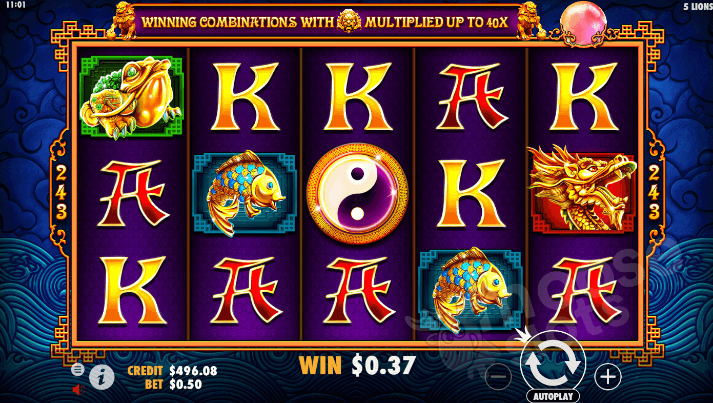 5 Lions slot game free spins