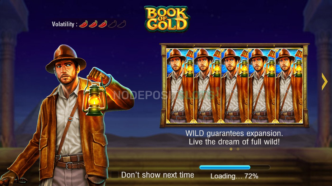 Book of Gold Slot - Intro