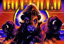Buffalo