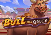 Bull in a Rodeo