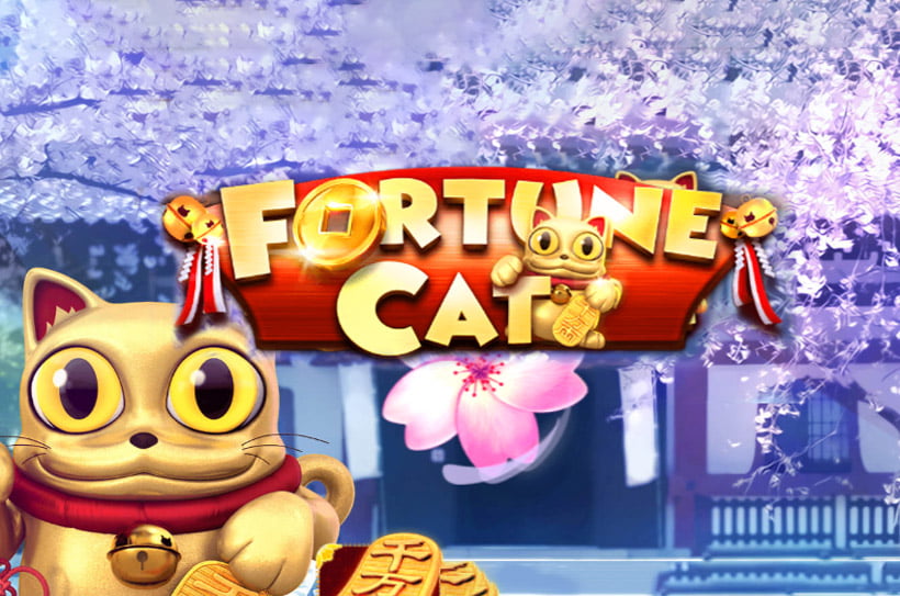 Play Fortune Cat Slot
