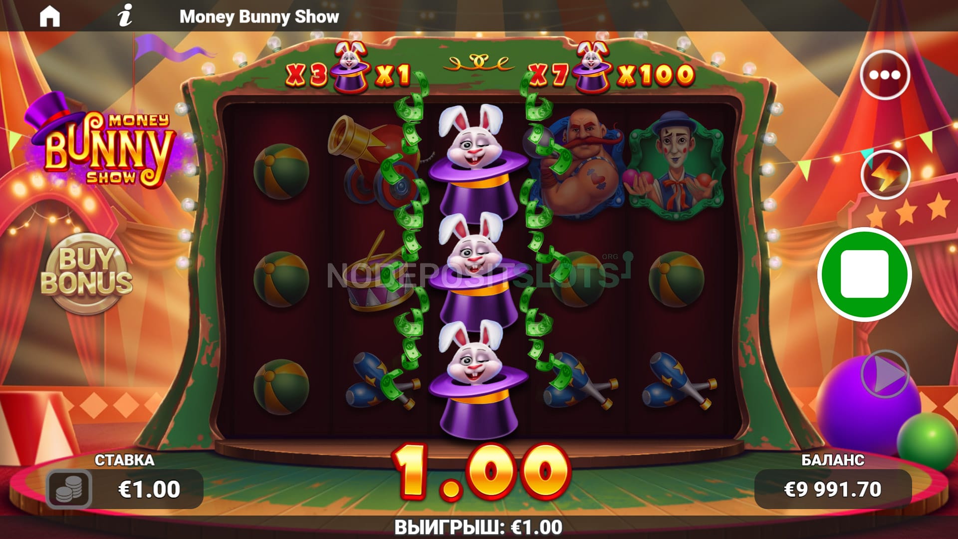 money bunny show bunny