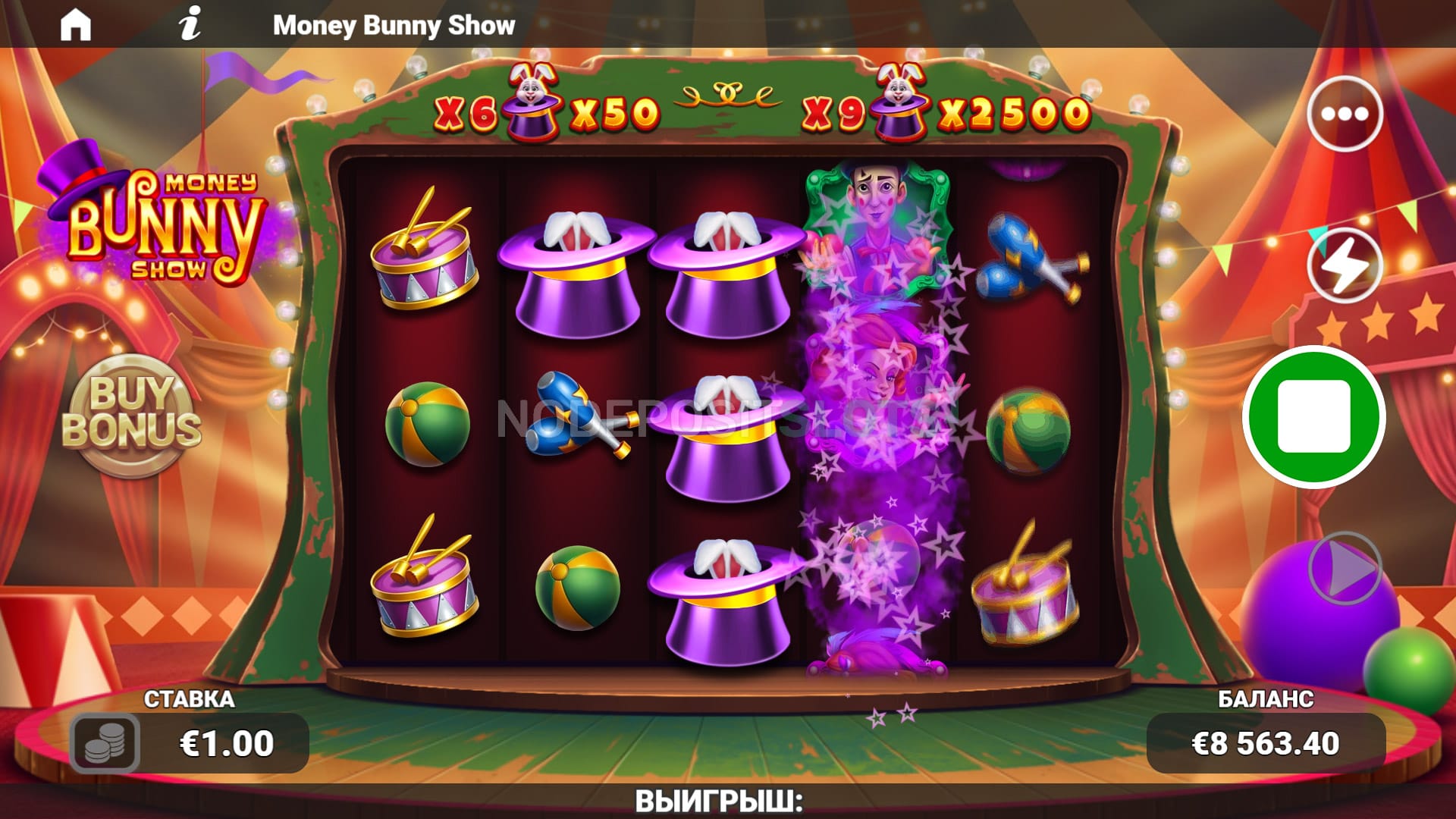 money bunny show column