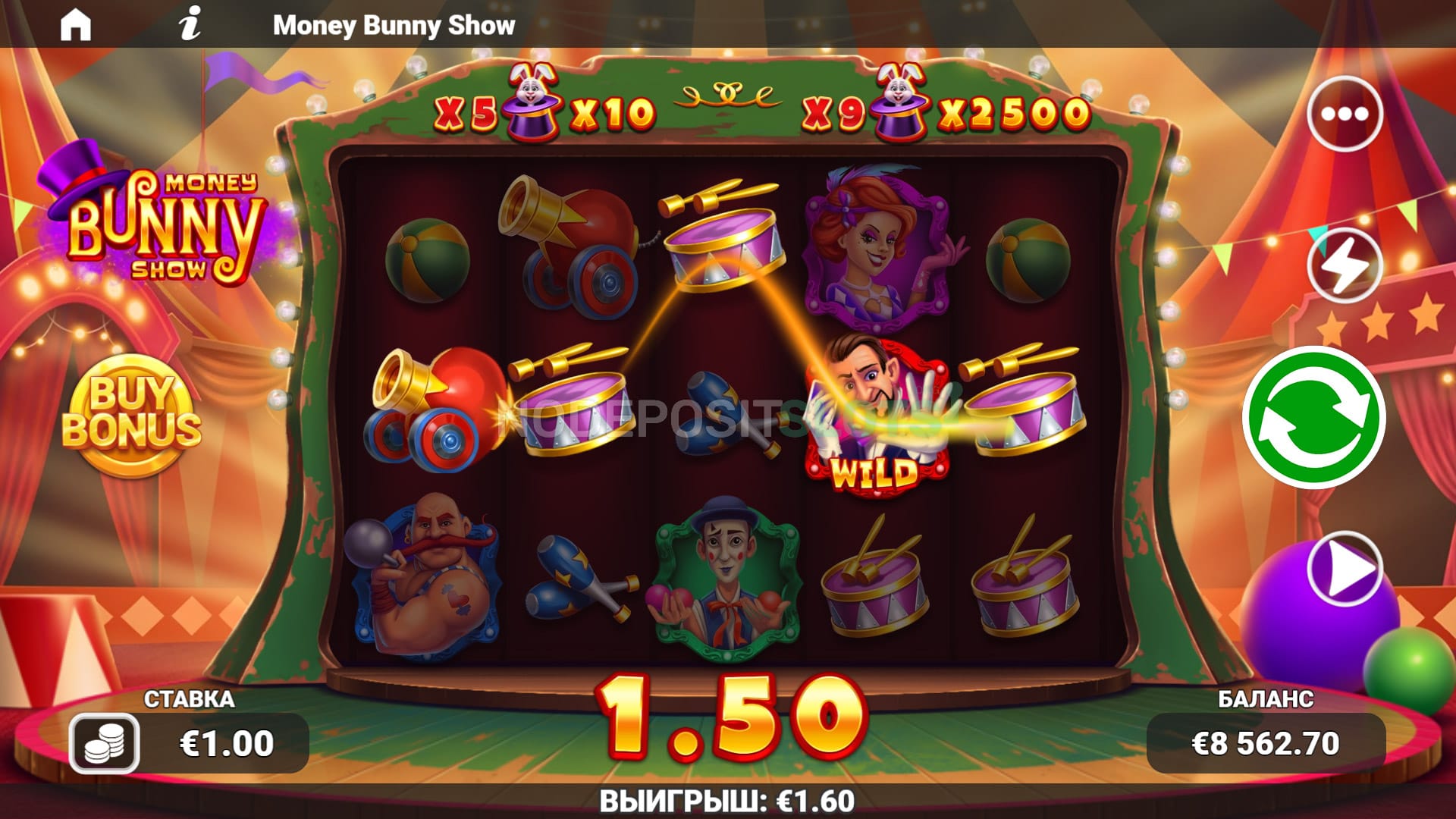 money bunny show wild