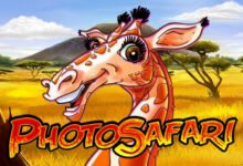 Photo Safari