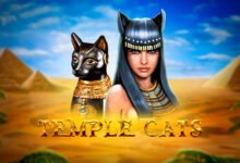 Temple Cats