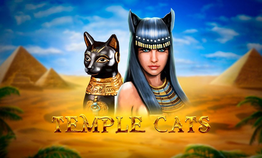 Temple Cats Slot